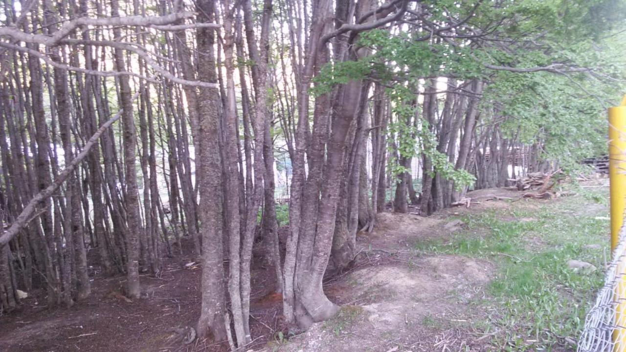 أوشويا Camping La Encantada المظهر الخارجي الصورة